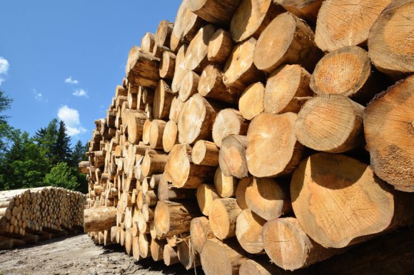 Livraison de bois de chauffage pour professionnels à Assieu