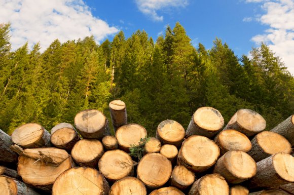 Livraison à domicile de stère de bois de chauffage à Salaise-sur-Sanne