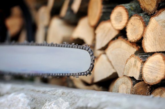 Vente de bois de chauffage en vrac Salaise-sur-Sanne