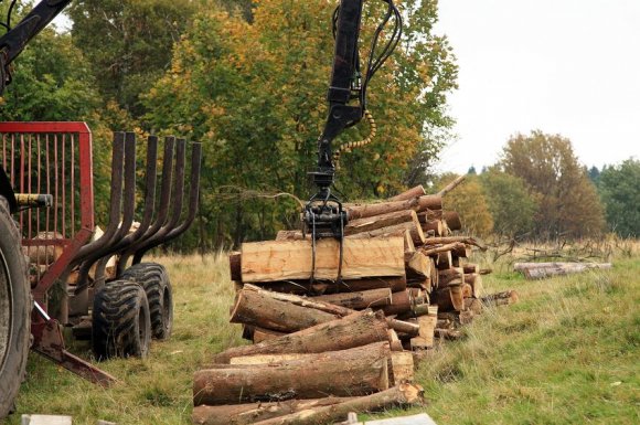 Commander par téléphone plusieurs stères de bois de chauffage Assieu