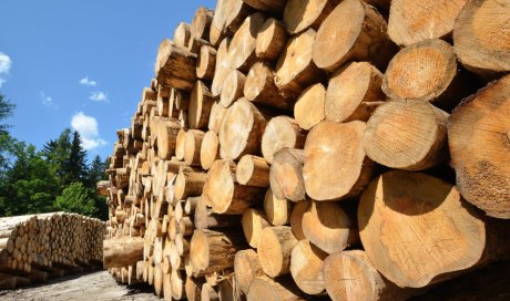 Livraison de bois de chauffage pour professionnels à Assieu