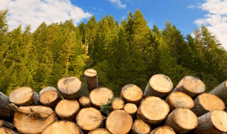 Livraison à domicile de stère de bois de chauffage à Salaise-sur-Sanne