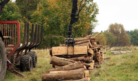 Commander par téléphone plusieurs stères de bois de chauffage Assieu